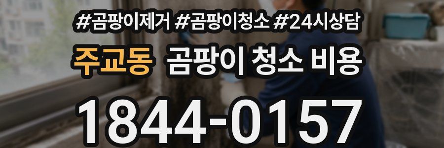 주교동 곰팡이 청소 비용