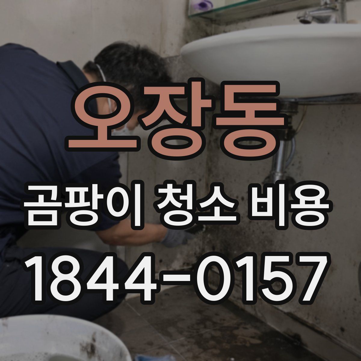 오장동 곰팡이 청소 비용