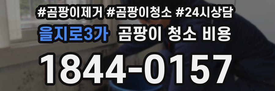 을지로3가 곰팡이 청소 비용