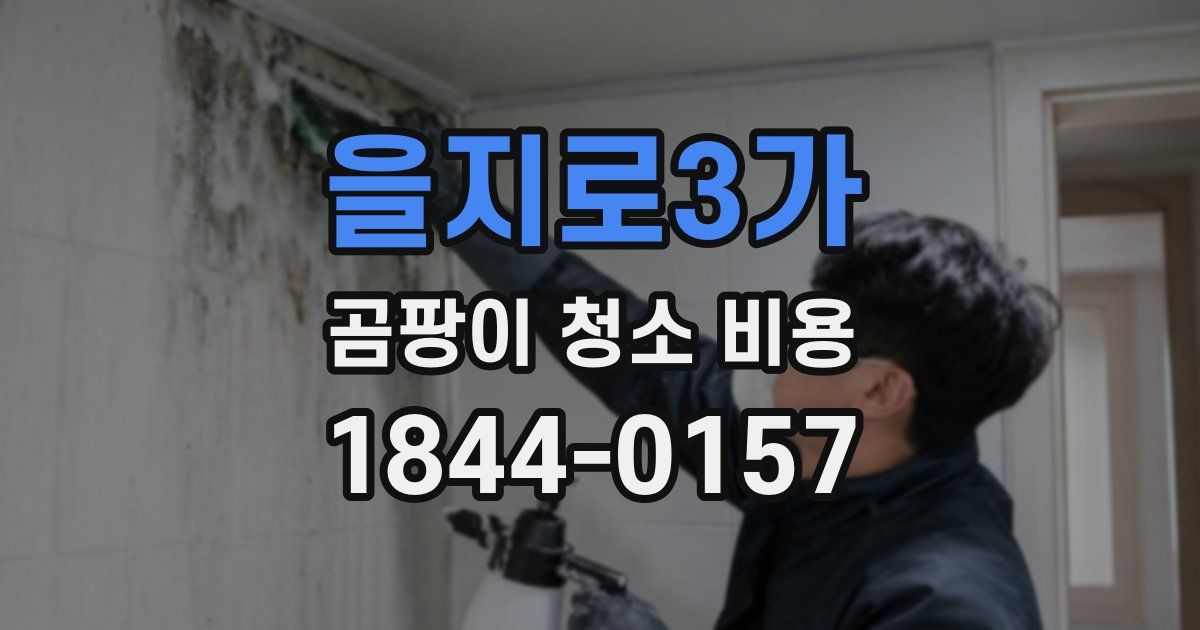 을지로3가 곰팡이 청소 비용