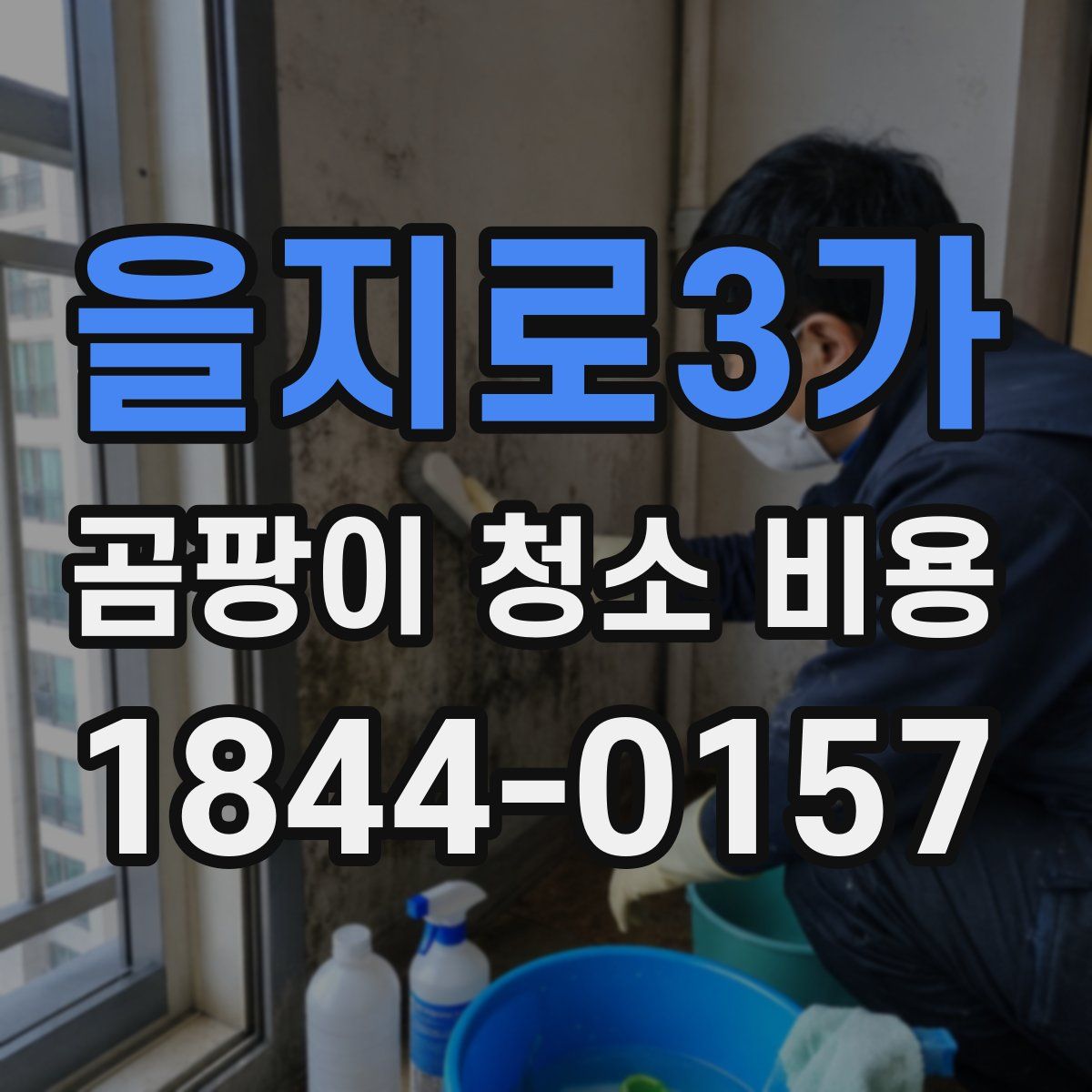 을지로3가 곰팡이 청소 비용