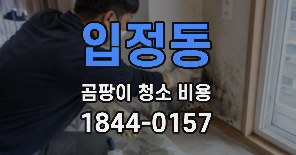 입정동 곰팡이 청소 비용