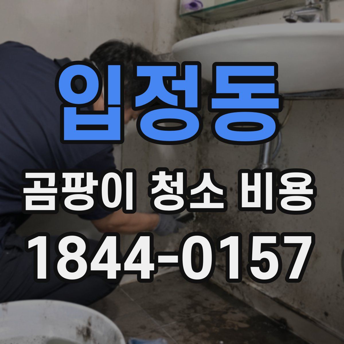 입정동 곰팡이 청소 비용