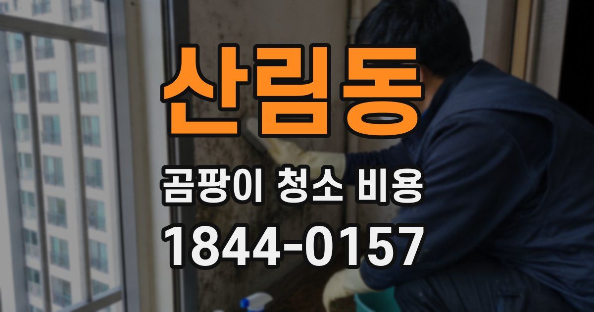 산림동 곰팡이 청소 비용