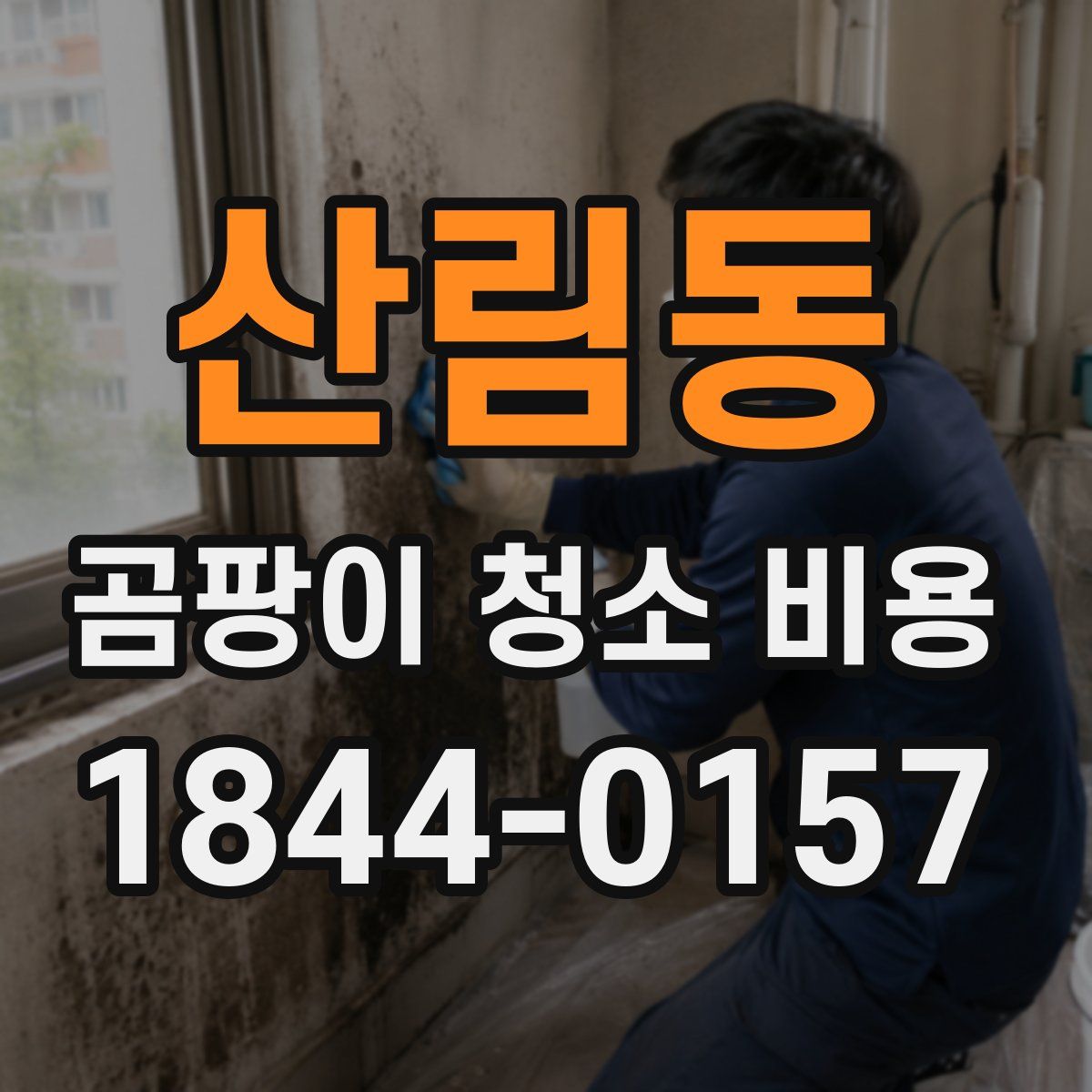 산림동 곰팡이 청소 비용