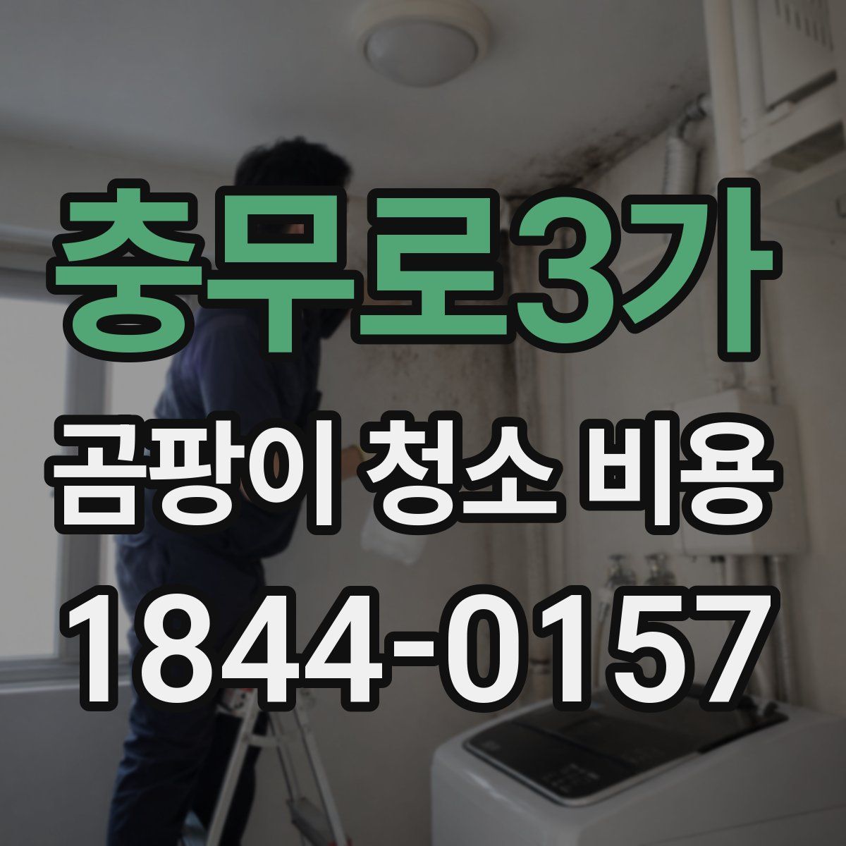 충무로3가 곰팡이 청소 비용