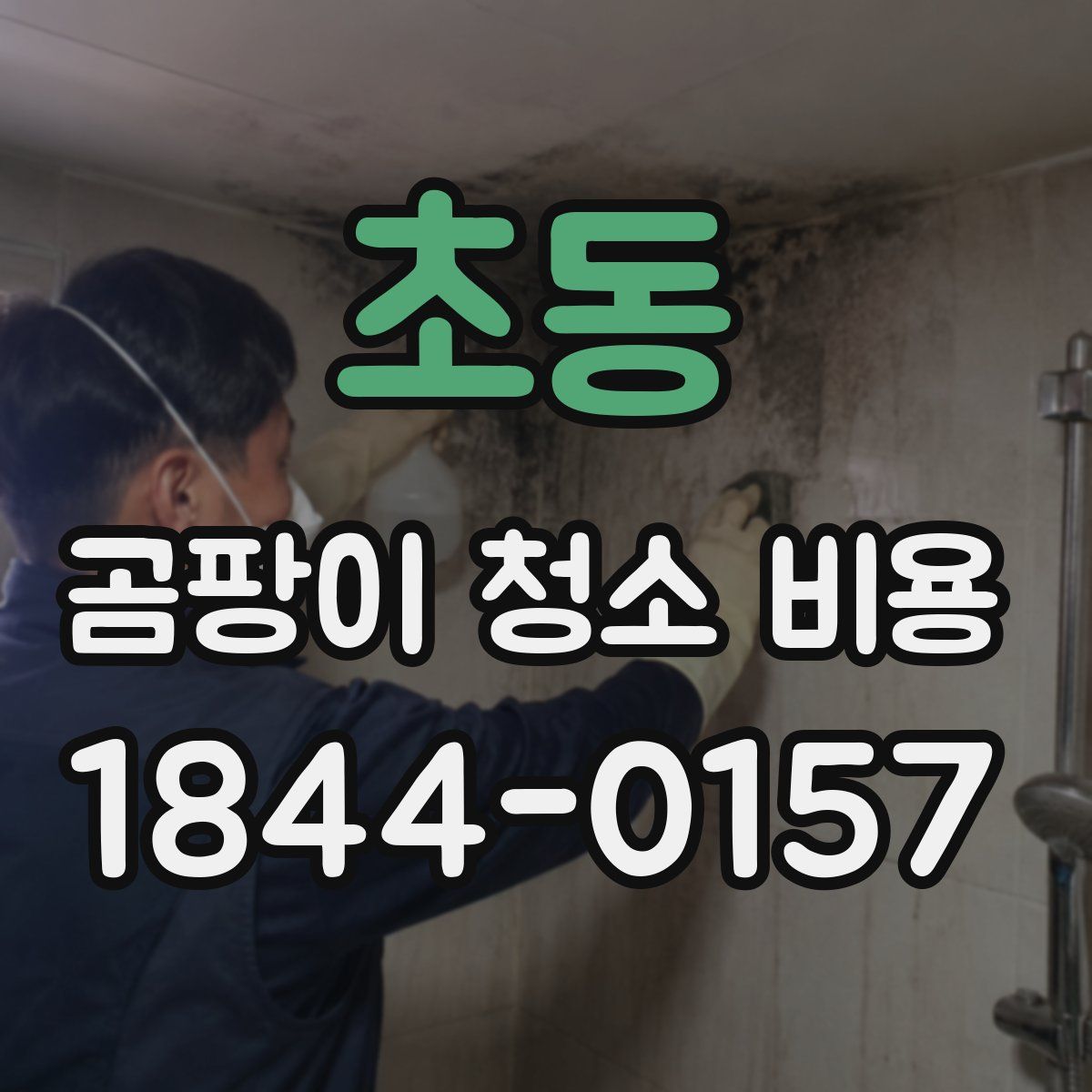 초동 곰팡이 청소 비용