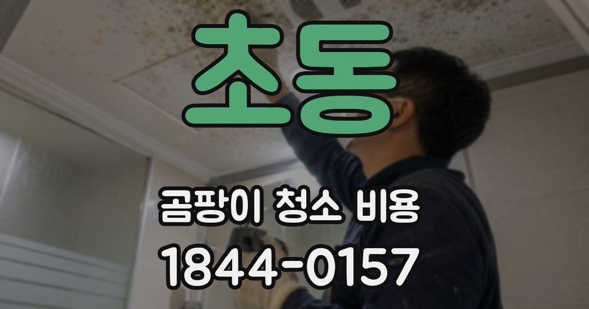 초동 곰팡이 청소 비용