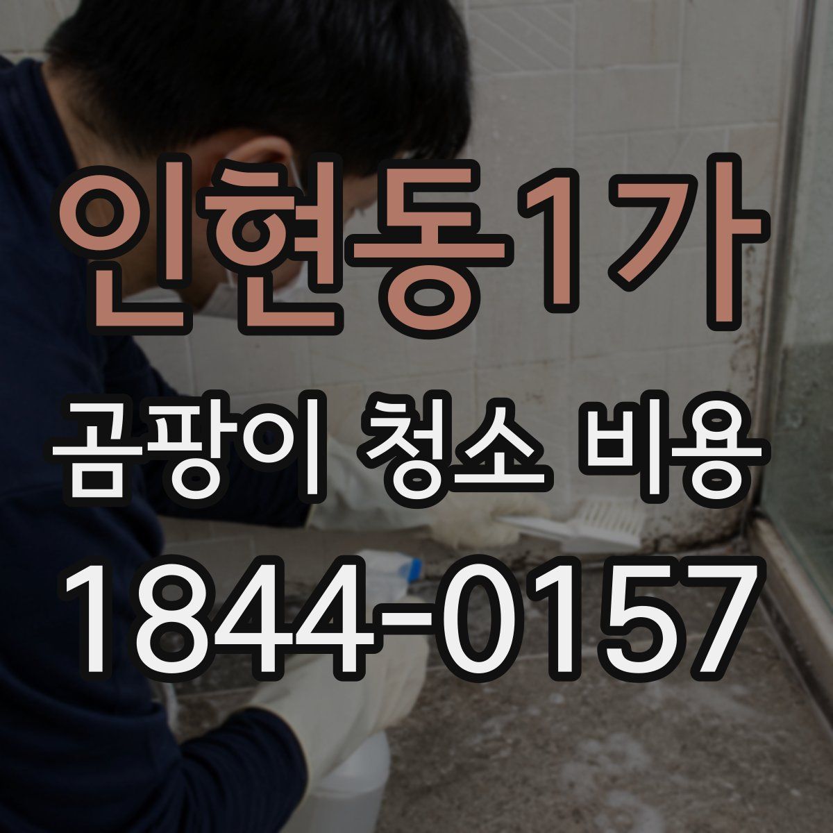 인현동1가 곰팡이 청소 비용