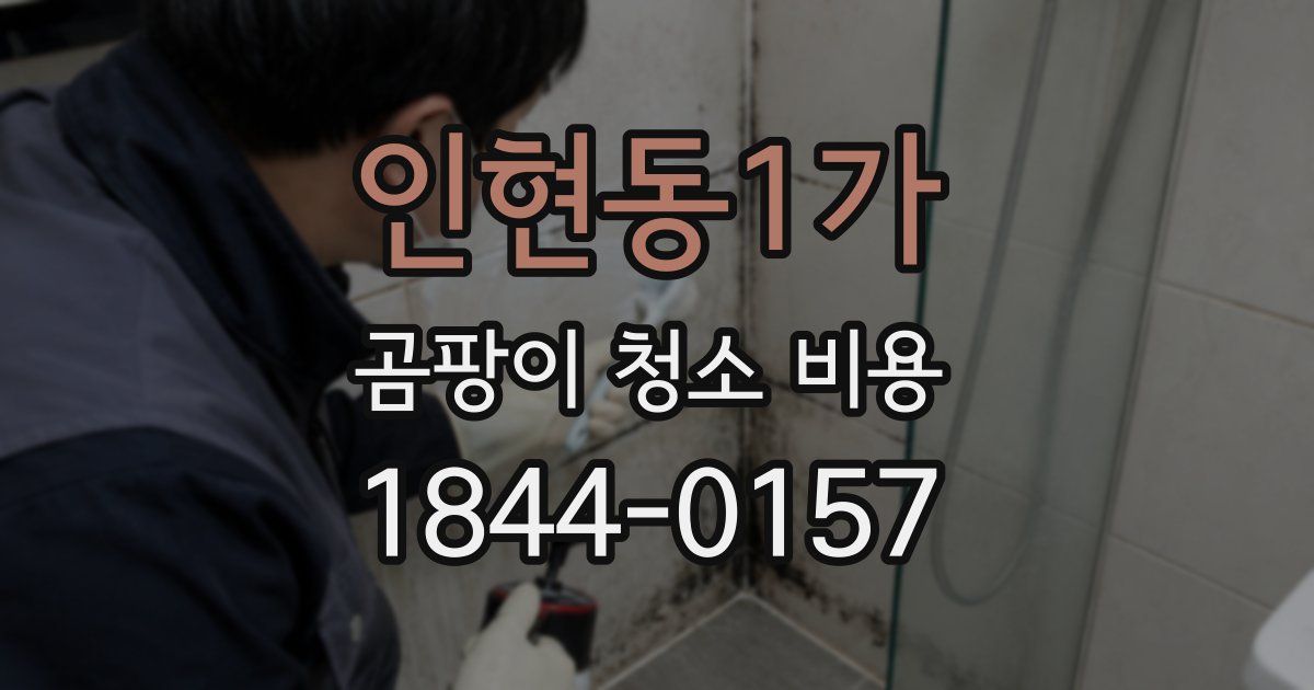 인현동1가 곰팡이 청소 비용