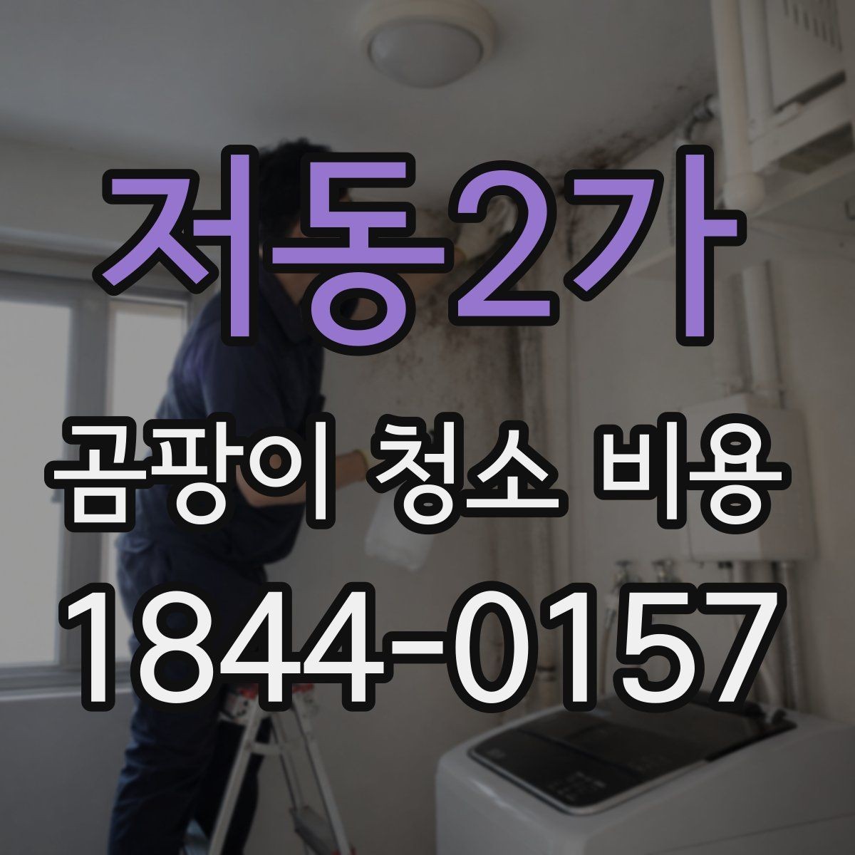 저동2가 곰팡이 청소 비용 세입자와 집주인 분담이 달라지는 사례
