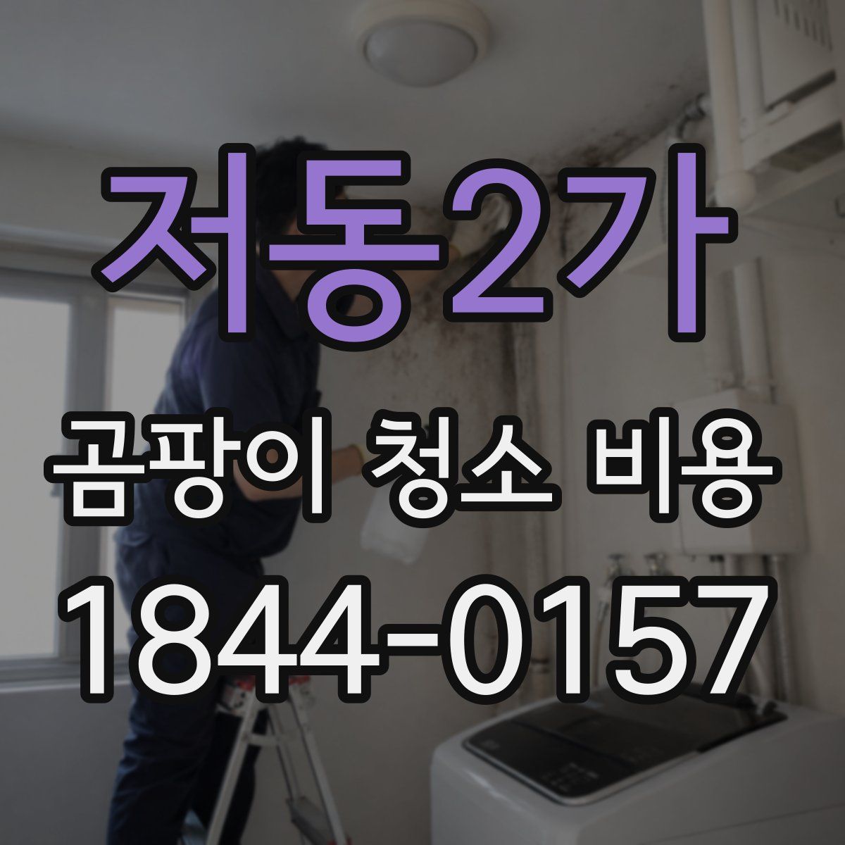 저동2가 곰팡이 청소 비용