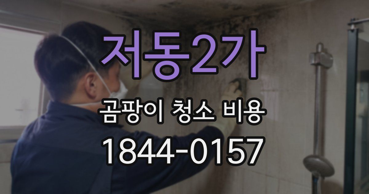 저동2가 곰팡이 청소 비용