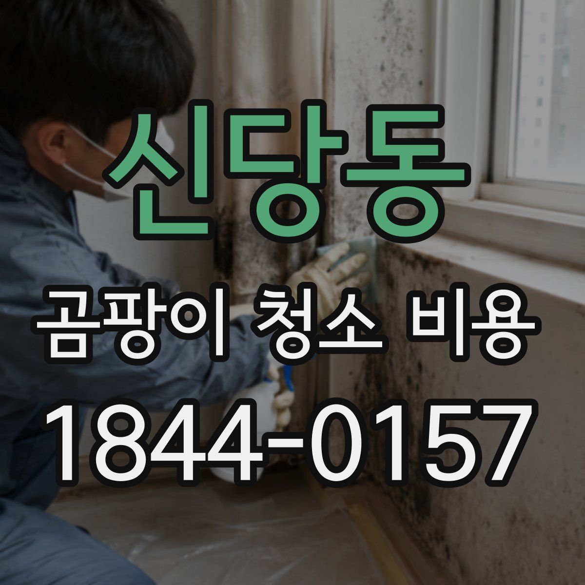 신당동 곰팡이 청소 비용