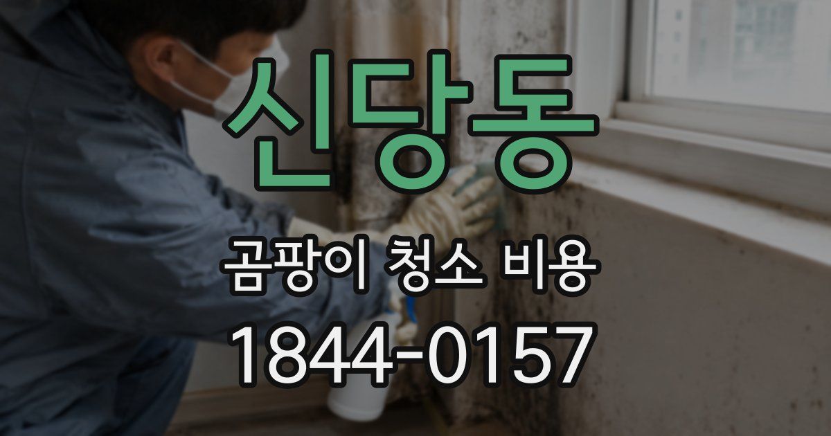 신당동 곰팡이 청소 비용