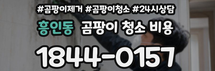 흥인동 곰팡이 청소 비용