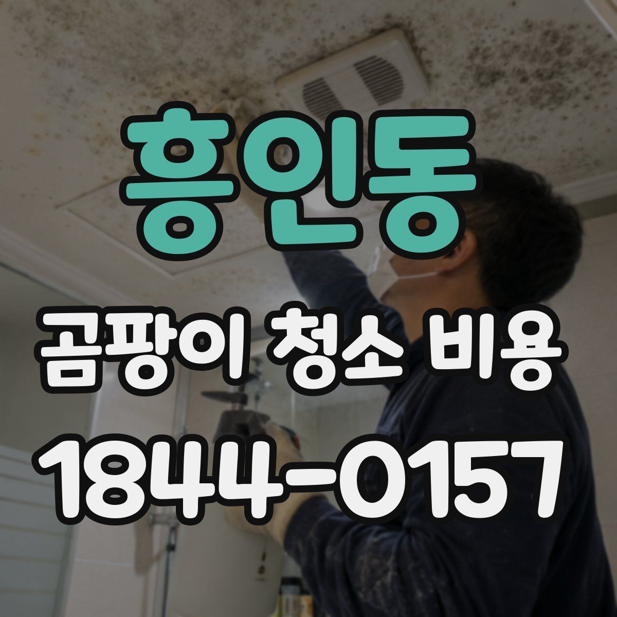 흥인동 곰팡이 청소 비용