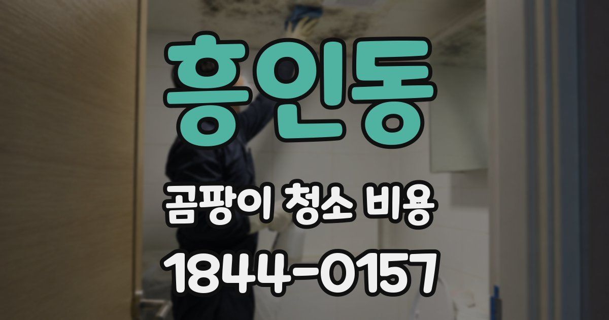 흥인동 곰팡이 청소 비용