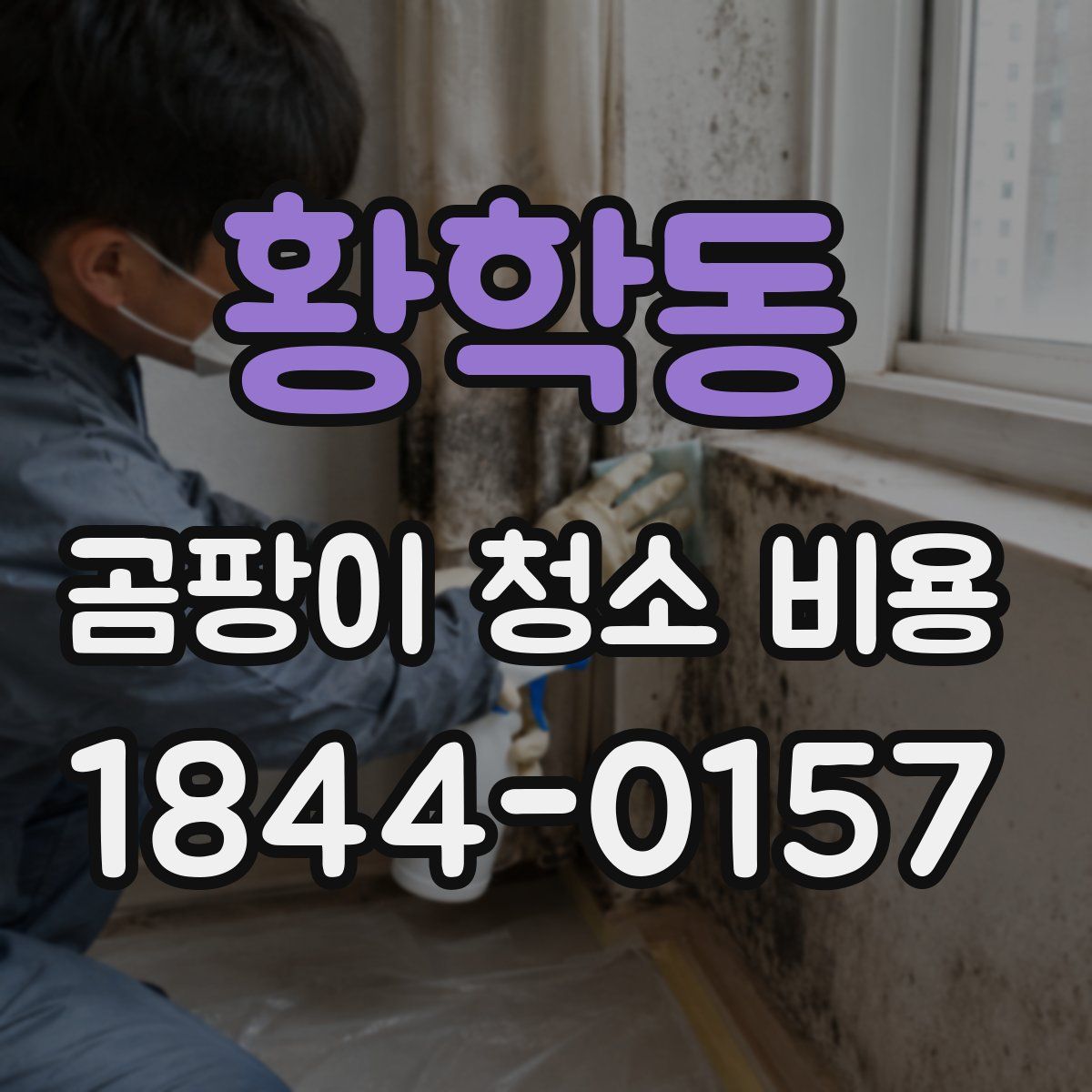 황학동 곰팡이 청소 비용