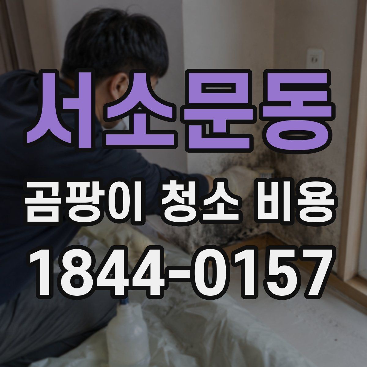 서소문동 곰팡이 청소 비용 욕실과 베란다 오염 범위가 넓을 때 보는 점