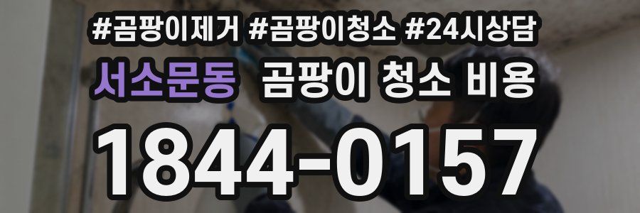 서소문동 곰팡이 청소 비용