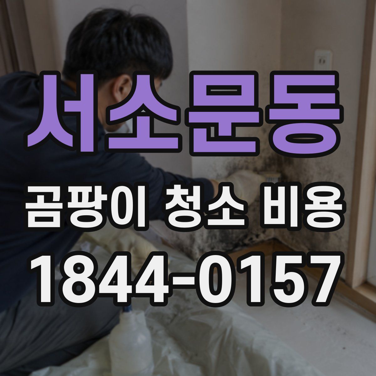 서소문동 곰팡이 청소 비용