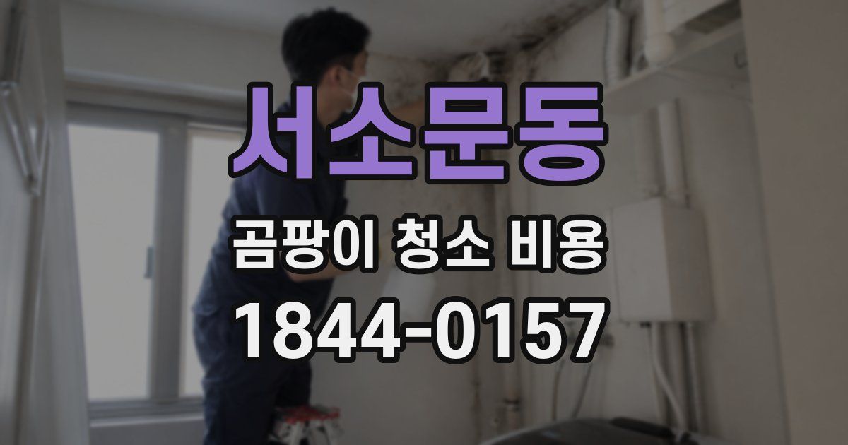 서소문동 곰팡이 청소 비용