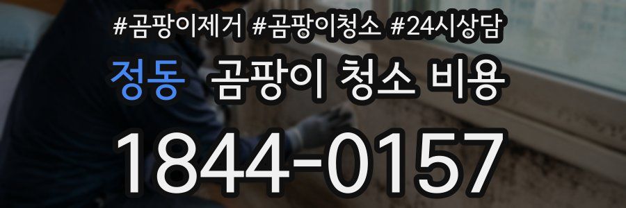정동 곰팡이 청소 비용