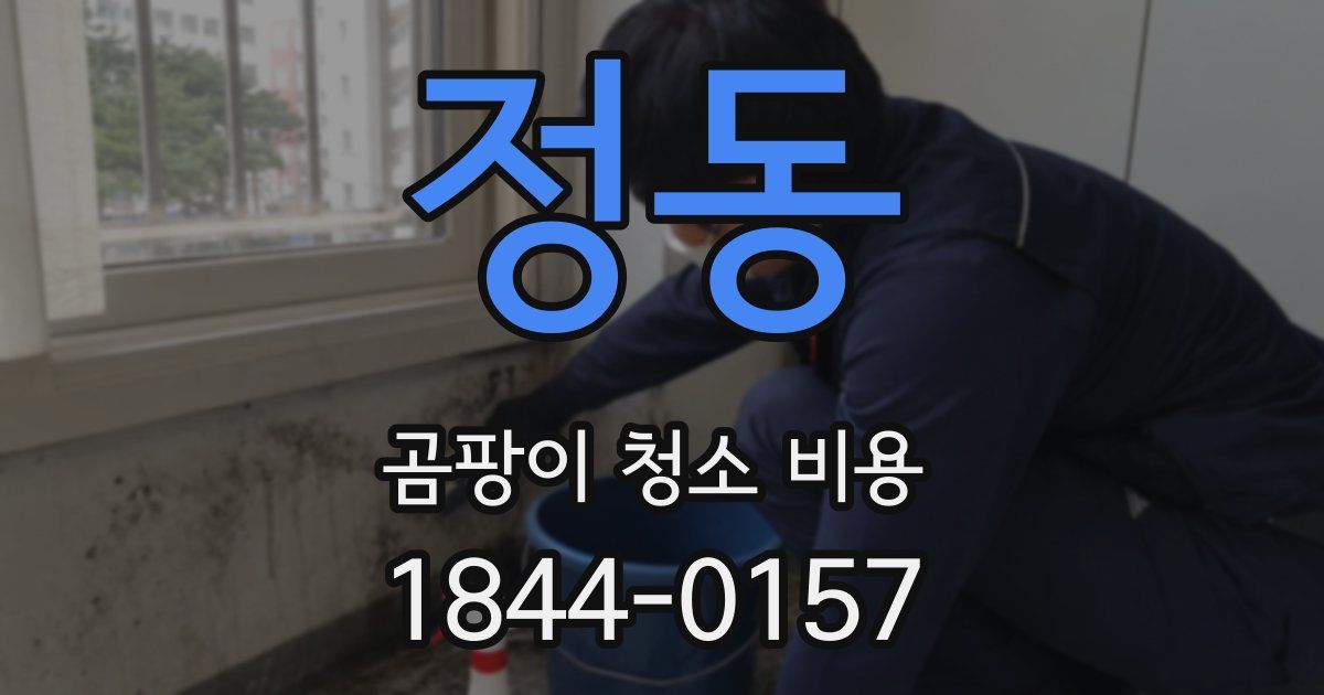 정동 곰팡이 청소 비용