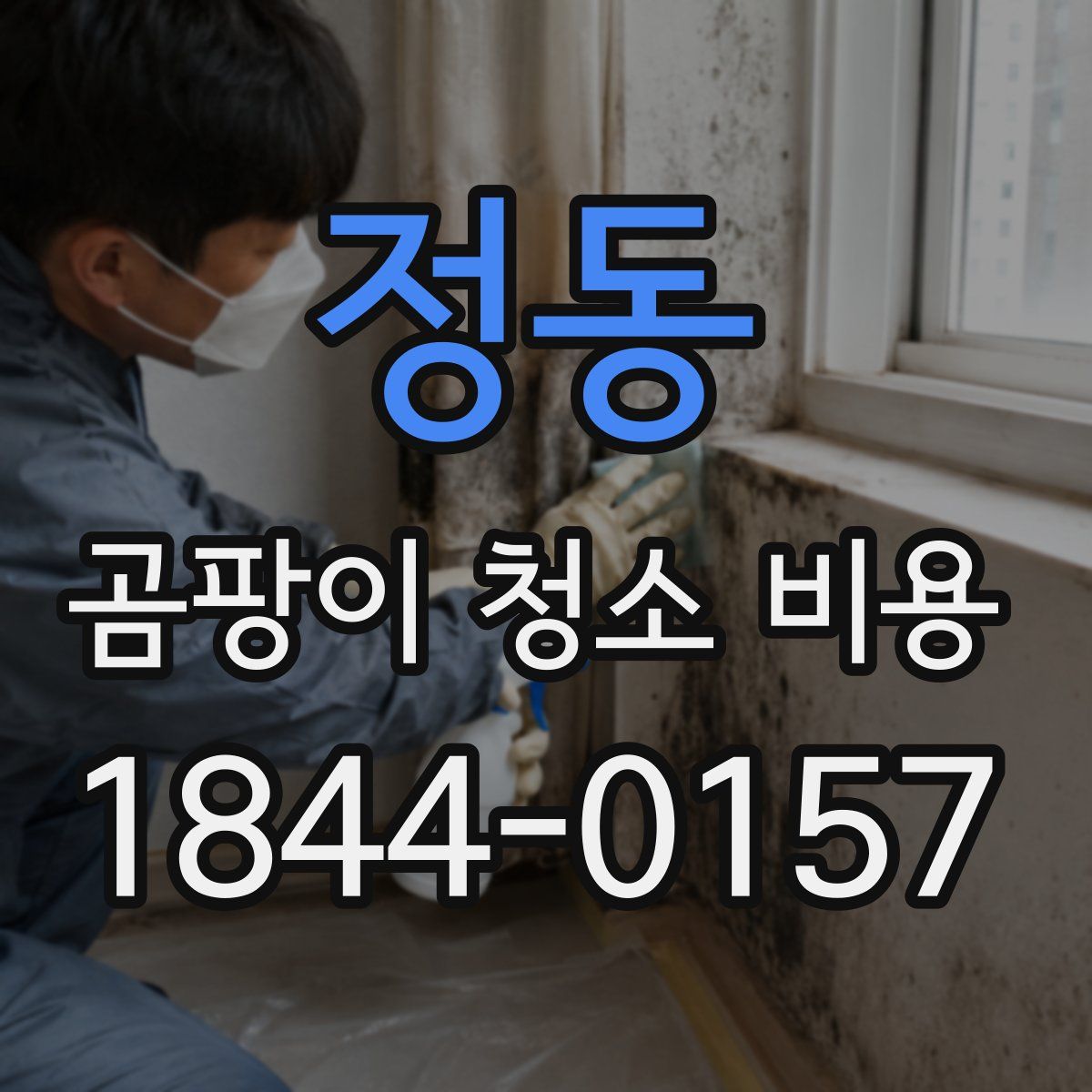 정동 곰팡이 청소 비용
