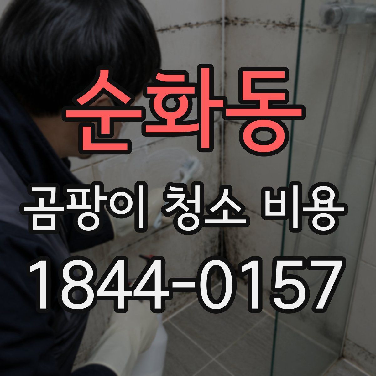 순화동 곰팡이 청소 비용