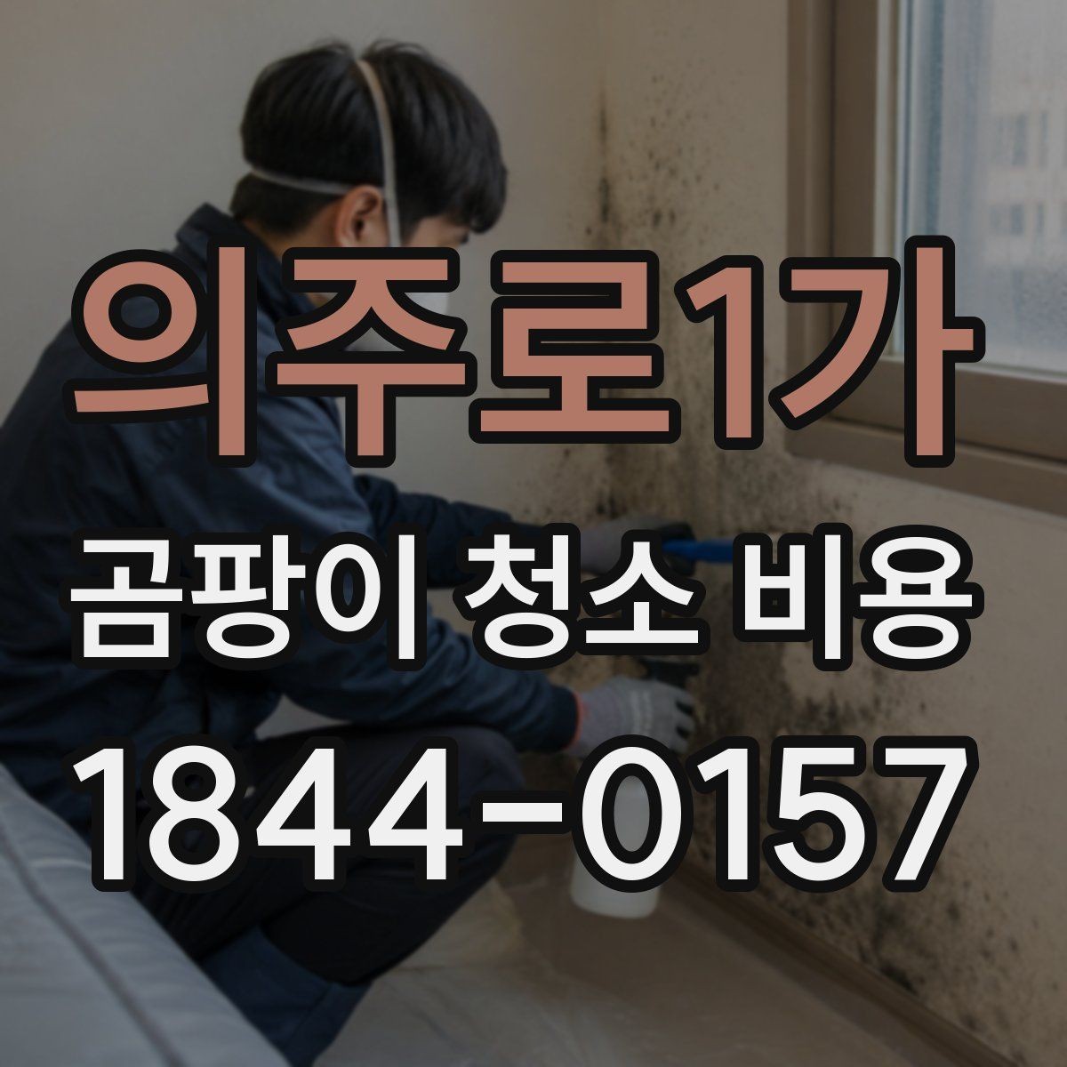 의주로1가 곰팡이 청소 비용 곰팡이 번짐 정도에 따라 달라지는 작업