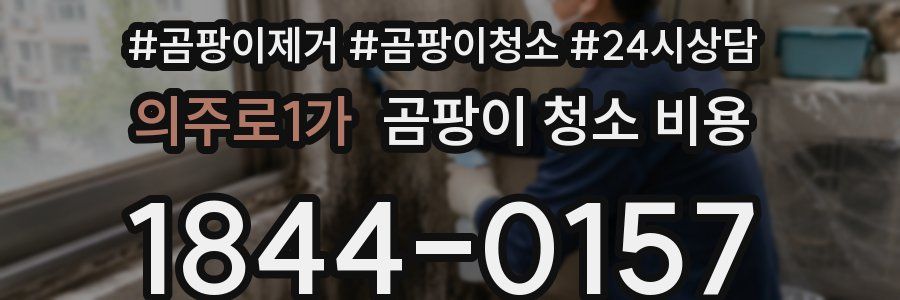 의주로1가 곰팡이 청소 비용