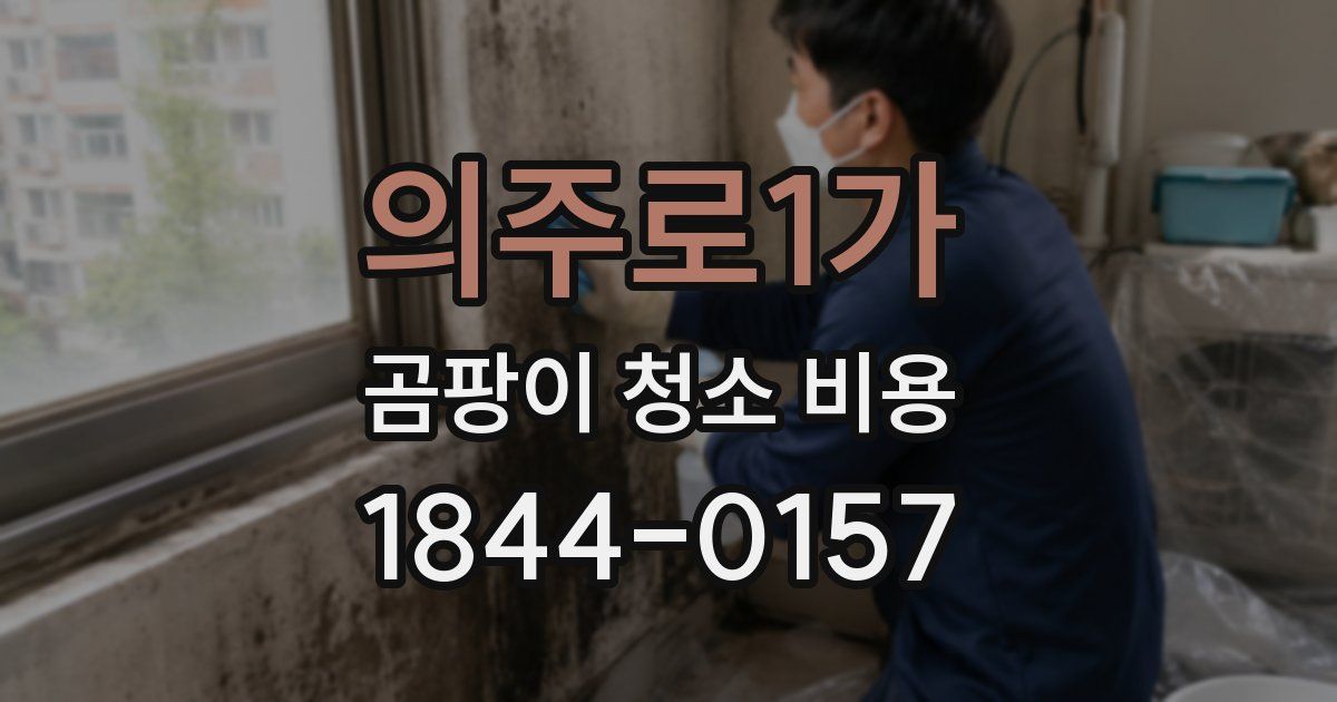 의주로1가 곰팡이 청소 비용