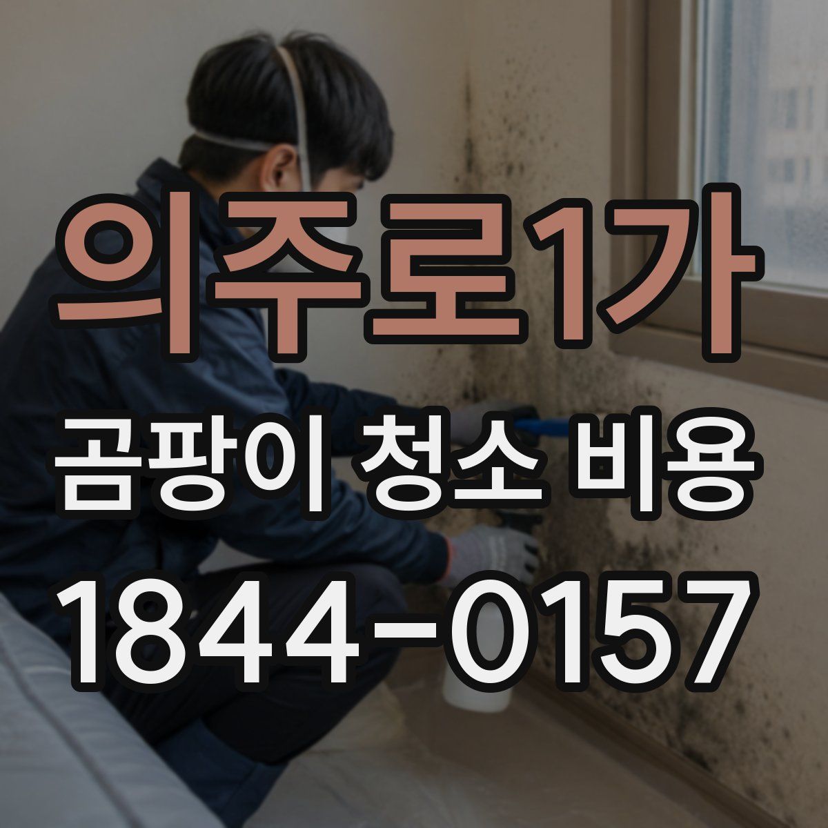 의주로1가 곰팡이 청소 비용