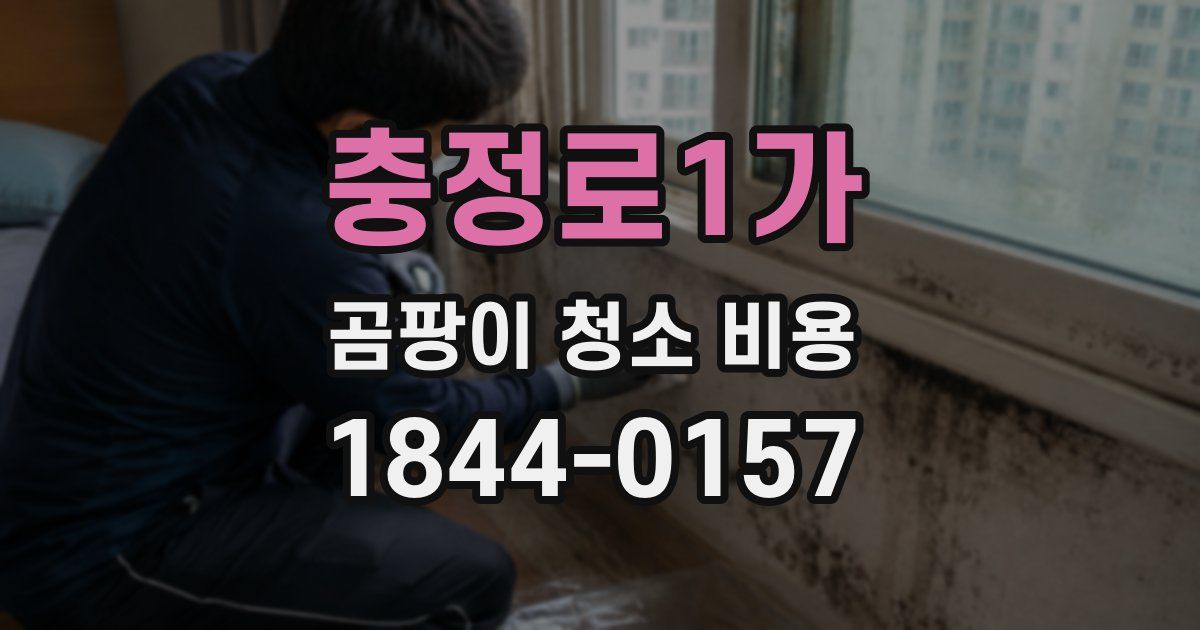 충정로1가 곰팡이 청소 비용