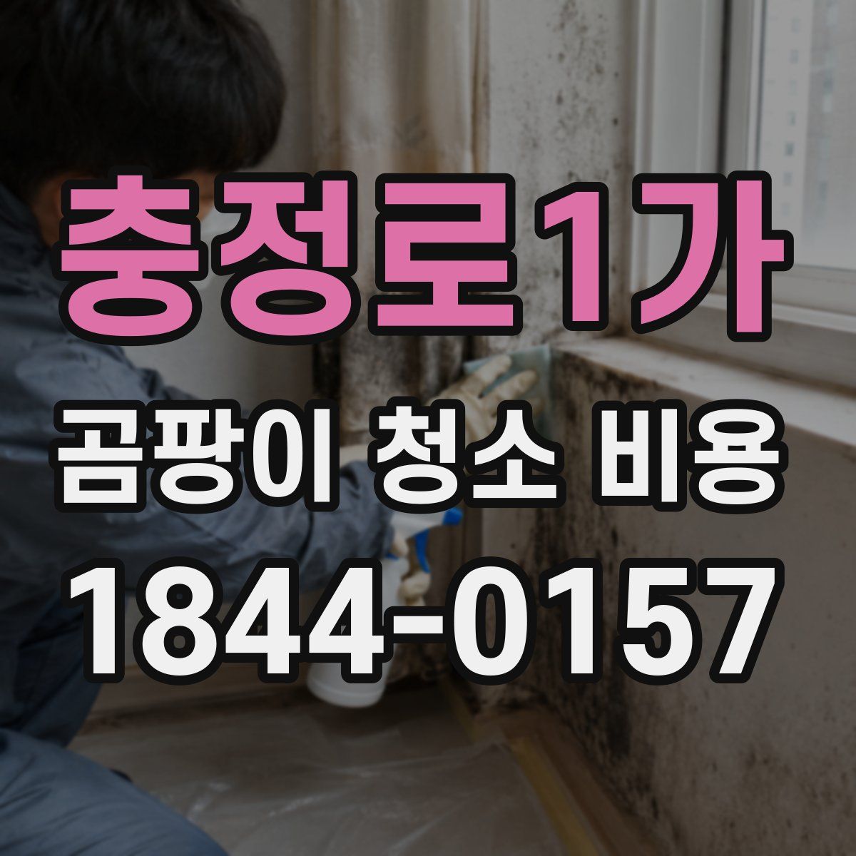 충정로1가 곰팡이 청소 비용