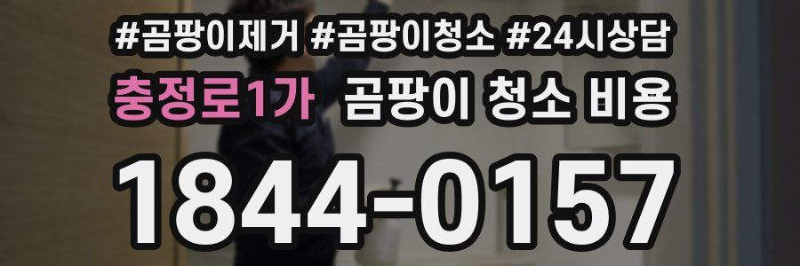 충정로1가 곰팡이 청소 비용