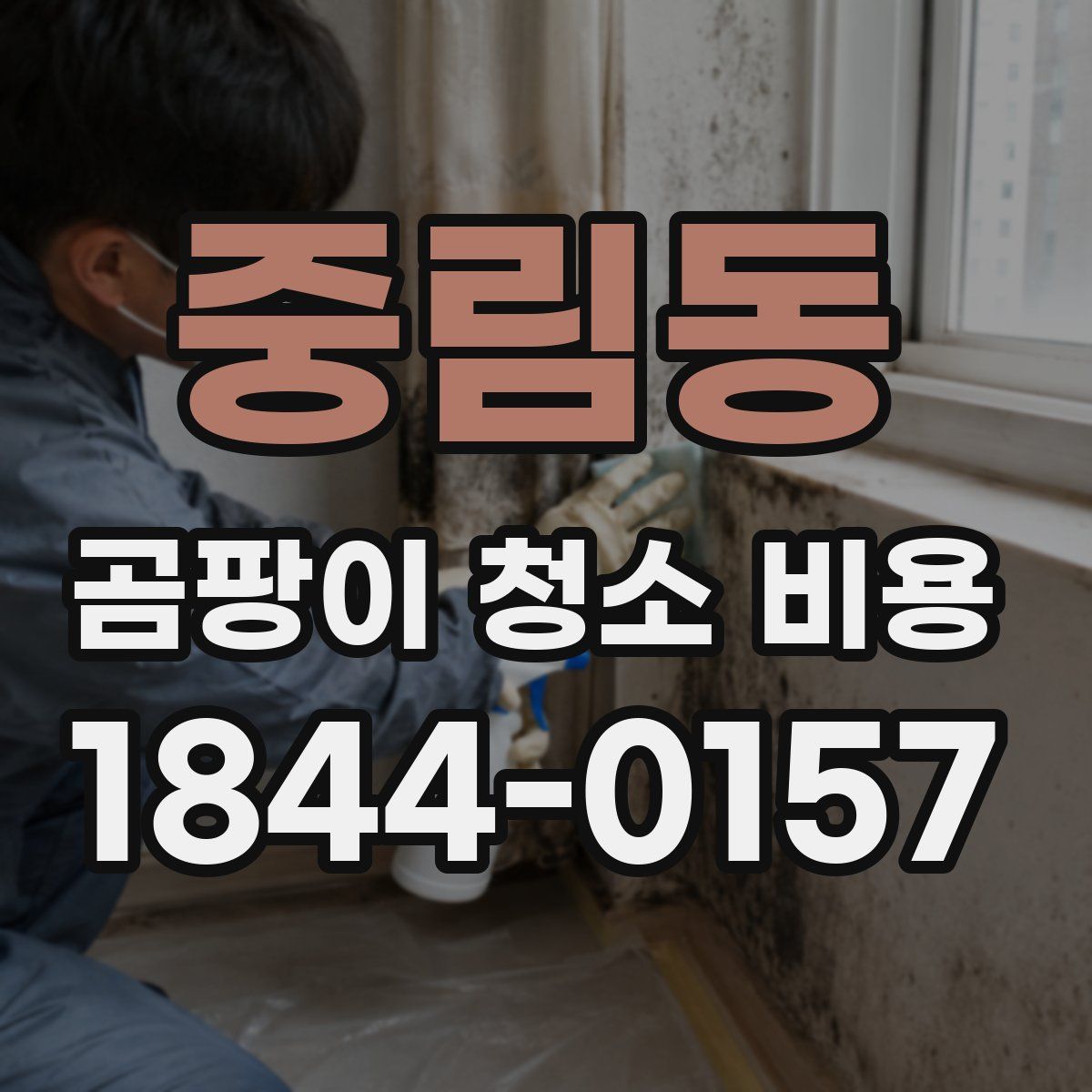 중림동 곰팡이 청소 비용
