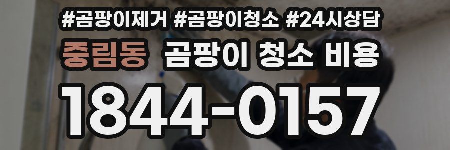 중림동 곰팡이 청소 비용