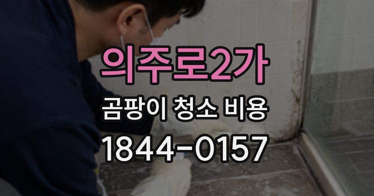 의주로2가 곰팡이 청소 비용