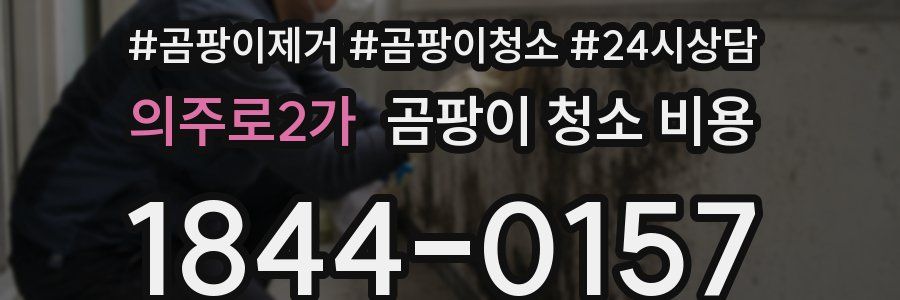 의주로2가 곰팡이 청소 비용