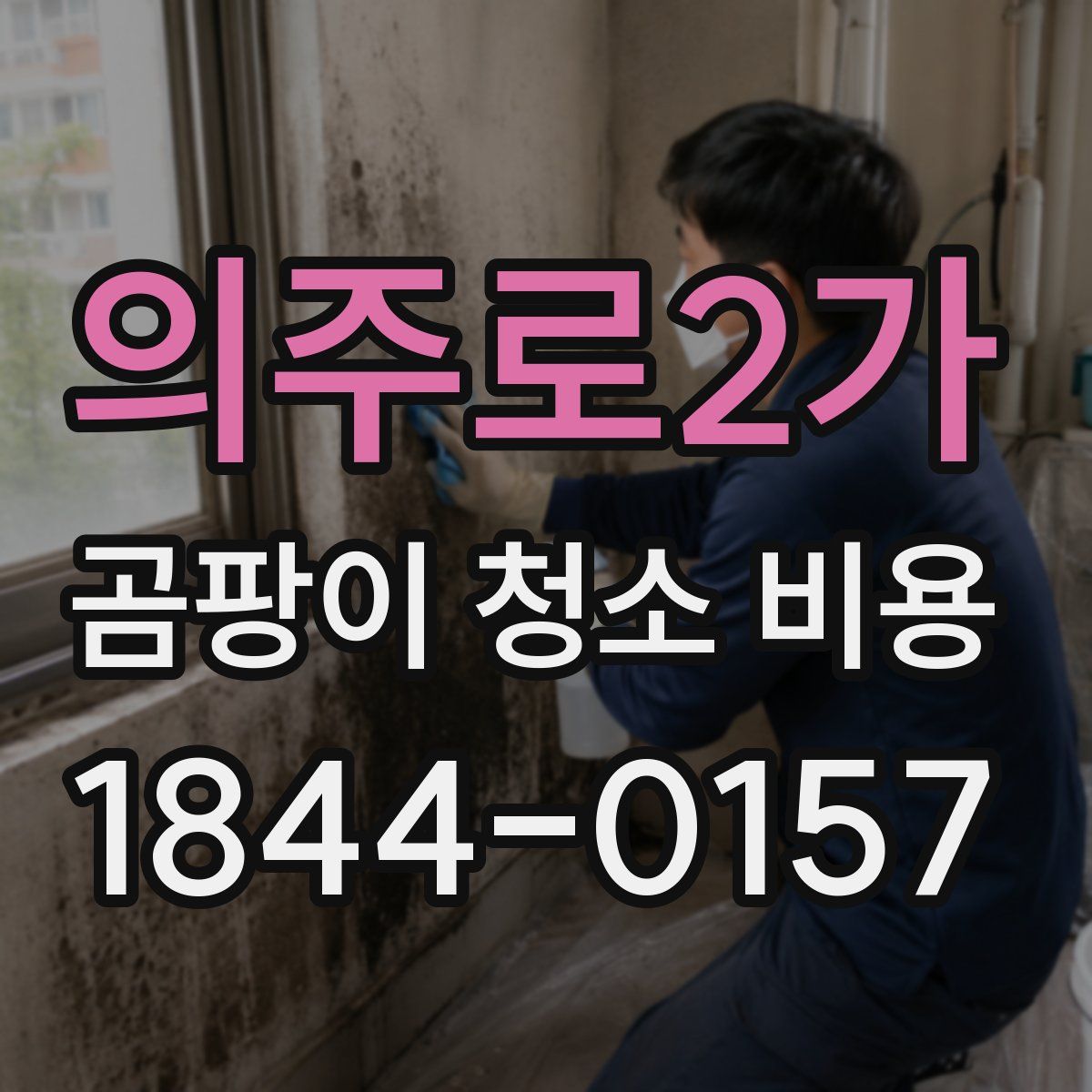 의주로2가 곰팡이 청소 비용