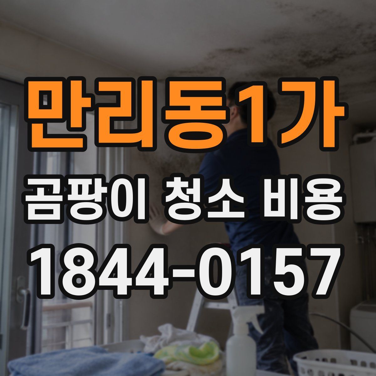 만리동1가 곰팡이 청소 비용