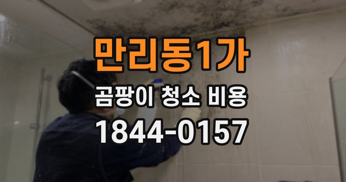 만리동1가 곰팡이 청소 비용