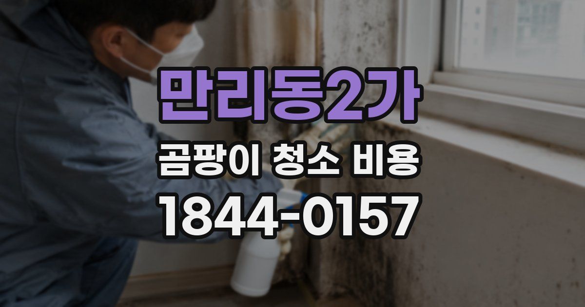 만리동2가 곰팡이 청소 비용