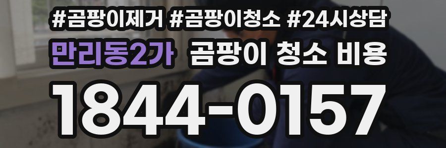 만리동2가 곰팡이 청소 비용