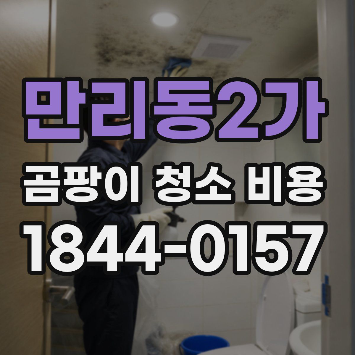 만리동2가 곰팡이 청소 비용