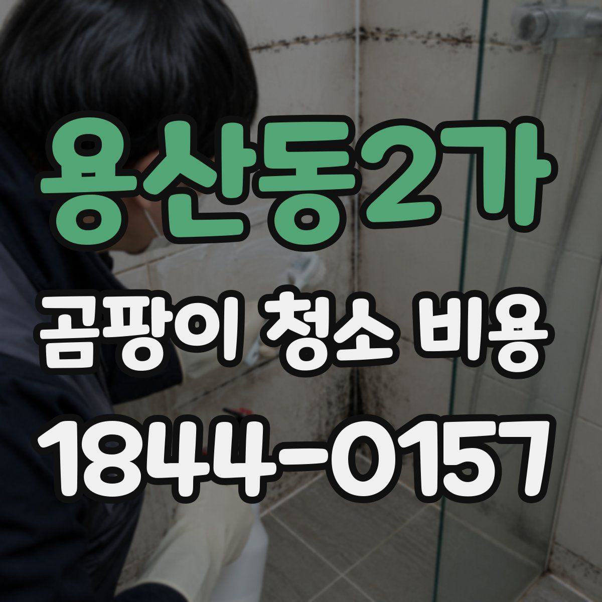 용산동2가 곰팡이 청소 비용