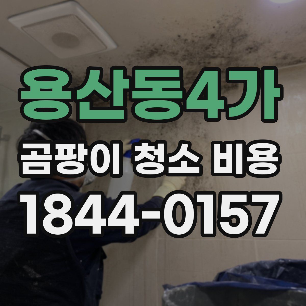 용산동4가 곰팡이 청소 비용